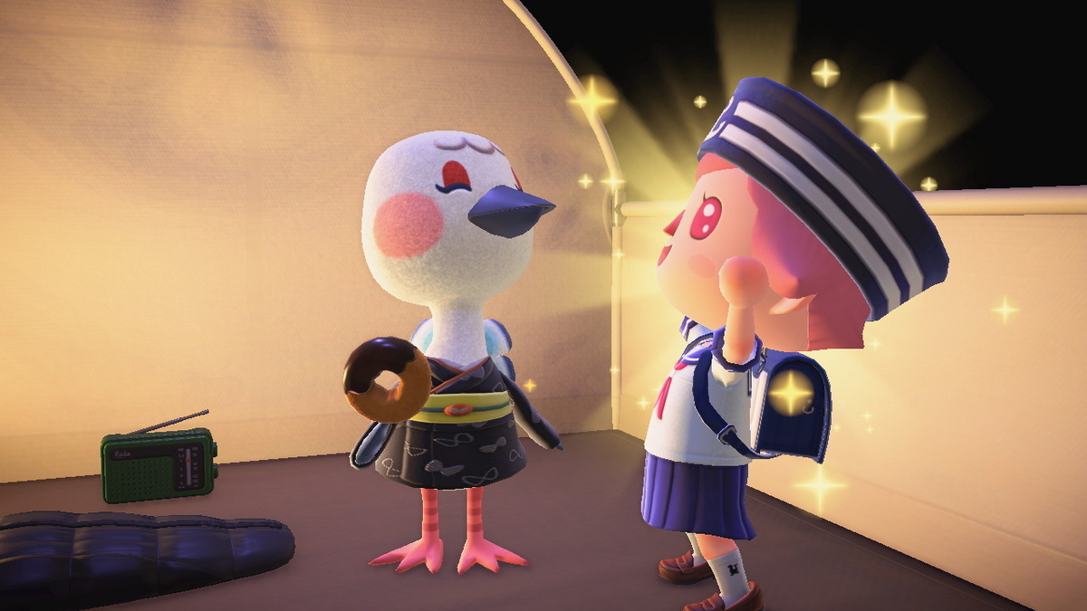ニンテンドースイッチ あつまれどうぶつの森 キャンプ場 67回目の画像