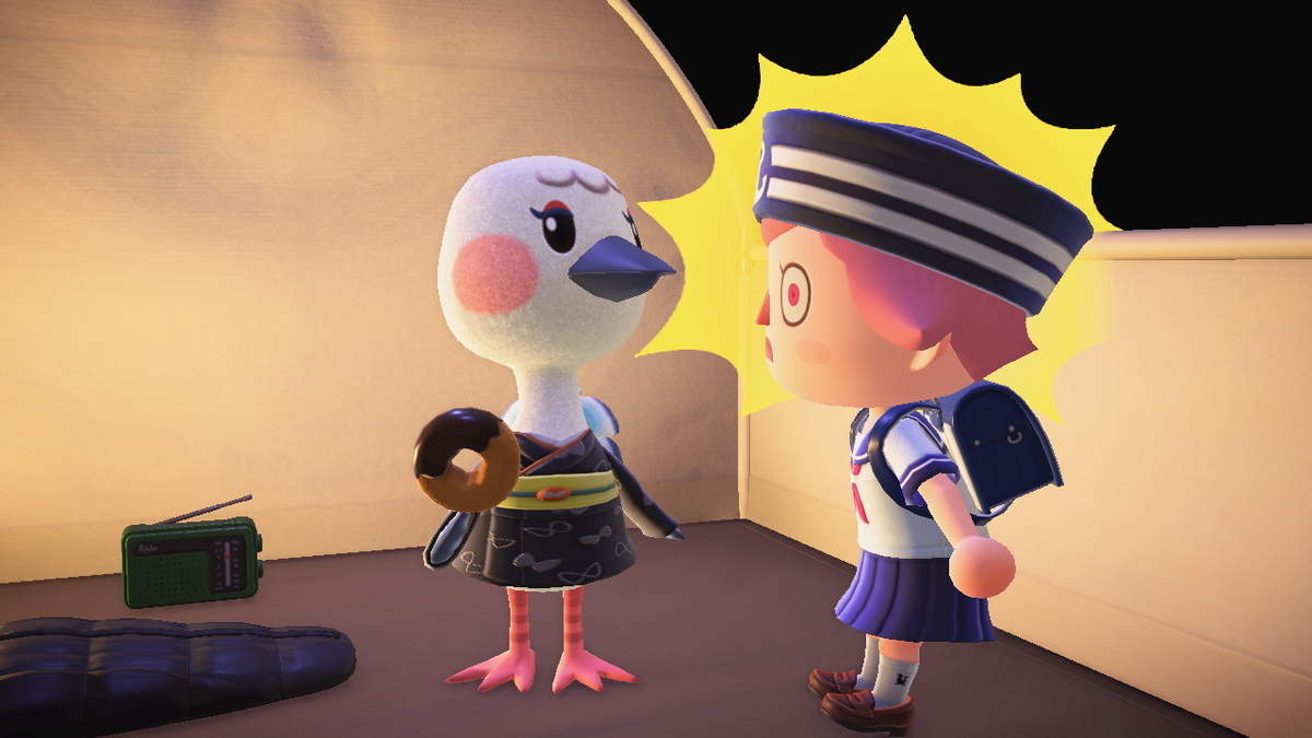 ニンテンドースイッチ あつまれどうぶつの森 キャンプ場 67回目の画像
