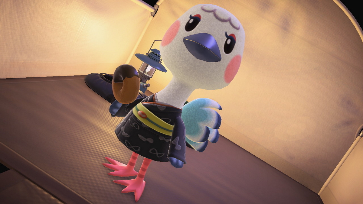 ニンテンドースイッチ あつまれどうぶつの森 キャンプ場 67回目の画像