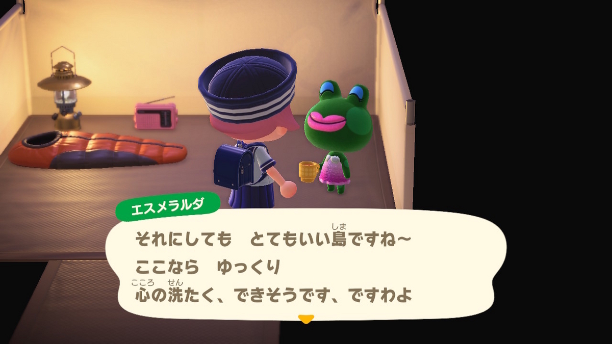 ニンテンドースイッチ あつまれどうぶつの森 キャンプ場 68回目の画像