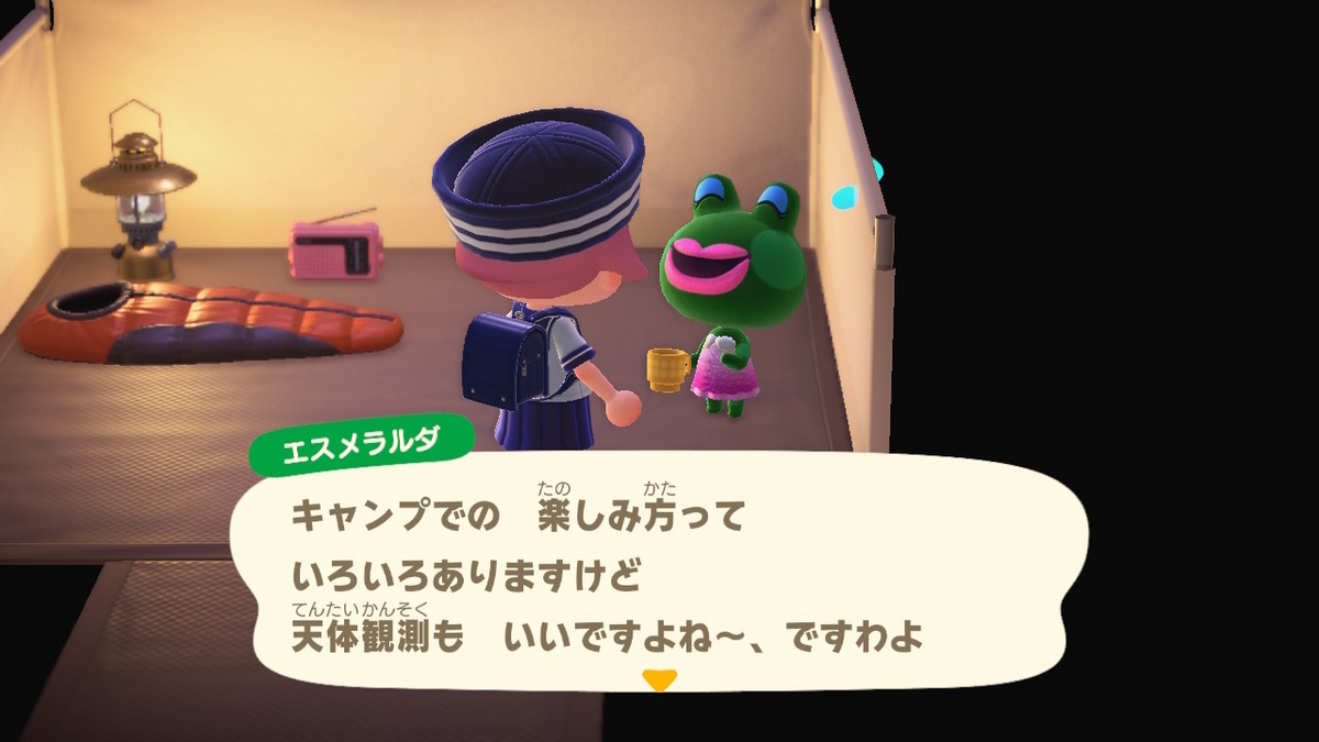 ニンテンドースイッチ あつまれどうぶつの森 キャンプ場 68回目の画像