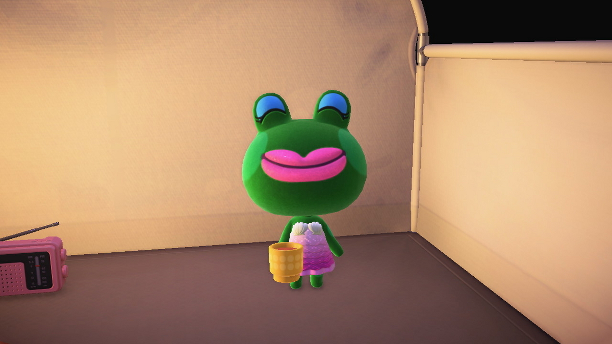 ニンテンドースイッチ あつまれどうぶつの森 キャンプ場 68回目の画像