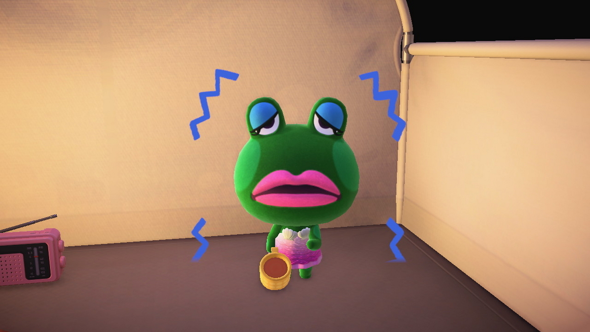ニンテンドースイッチ あつまれどうぶつの森 キャンプ場 68回目の画像