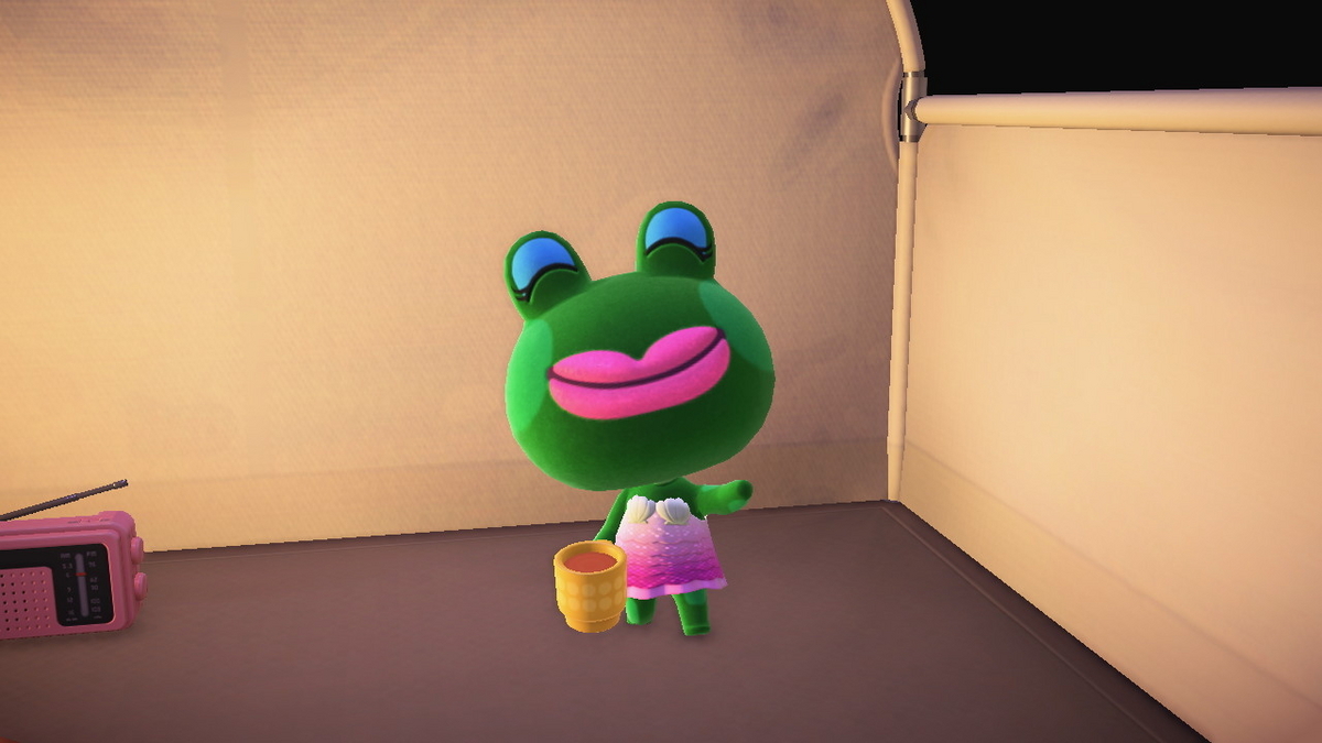 ニンテンドースイッチ あつまれどうぶつの森 キャンプ場 68回目の画像