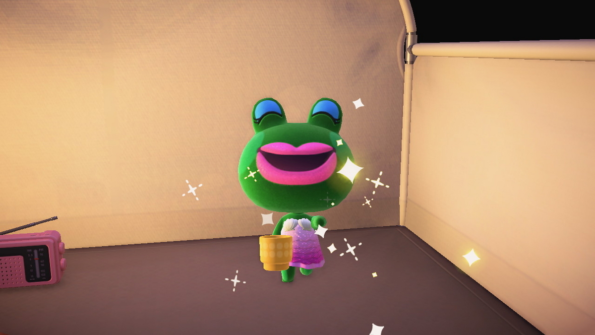 ニンテンドースイッチ あつまれどうぶつの森 キャンプ場 68回目の画像