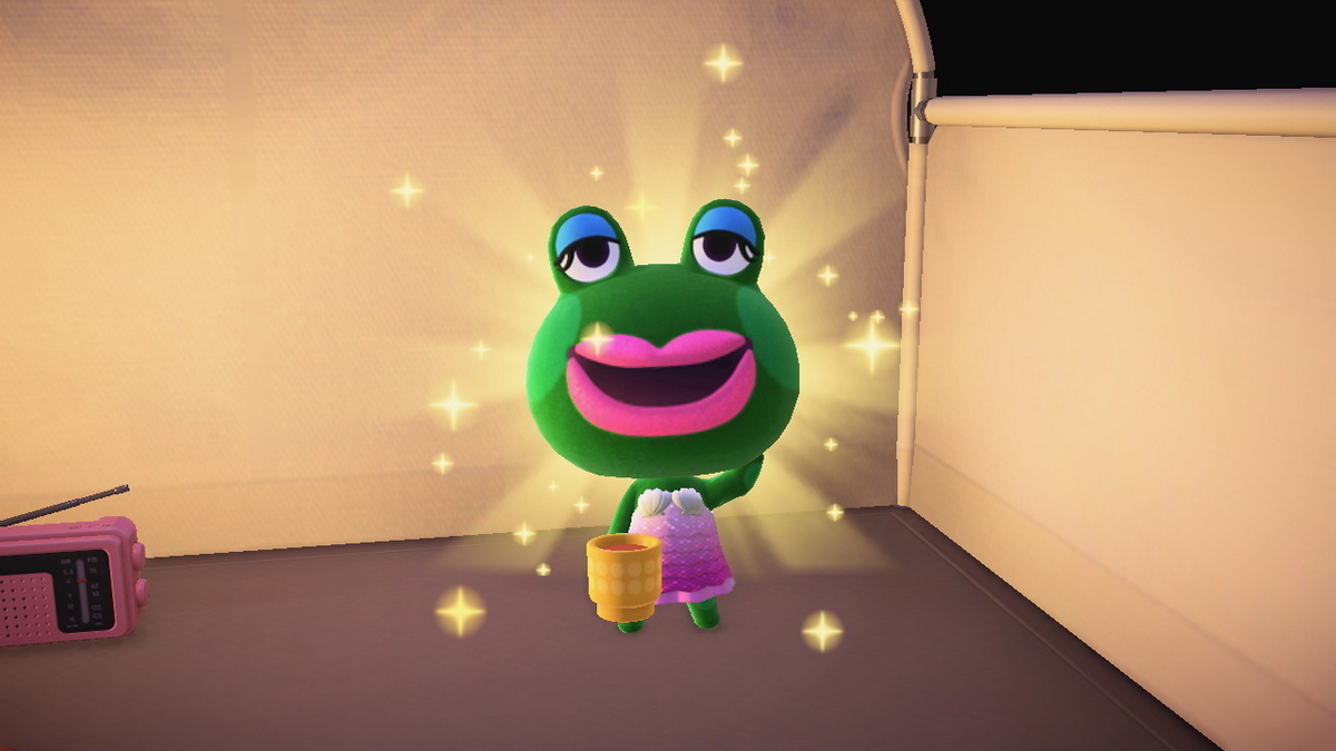 ニンテンドースイッチ あつまれどうぶつの森 キャンプ場 68回目の画像