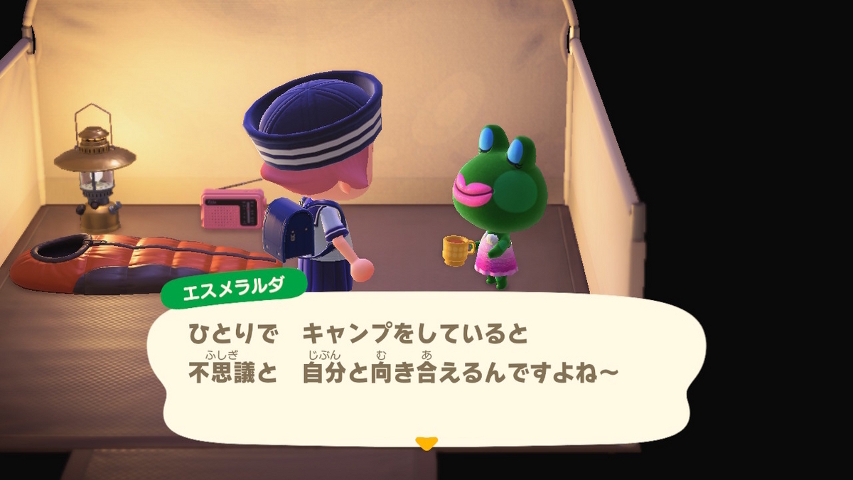 ニンテンドースイッチ あつまれどうぶつの森 キャンプ場 68回目の画像