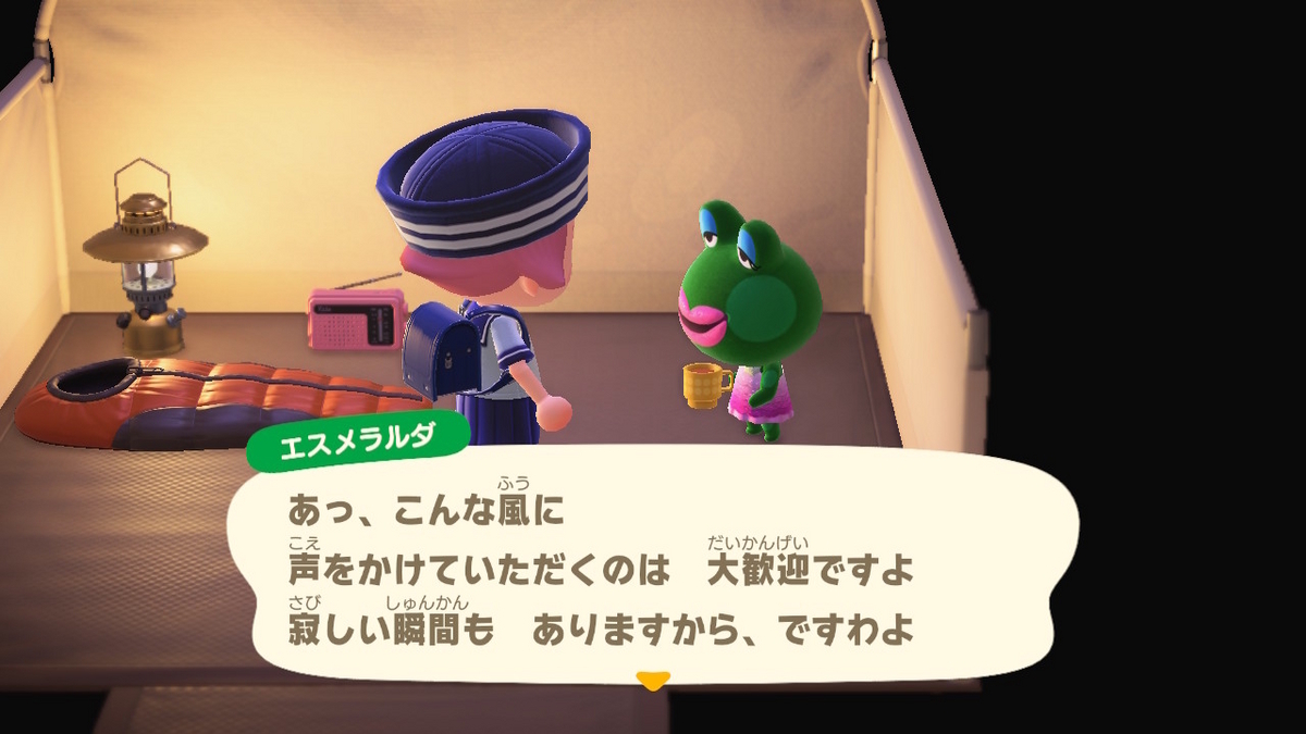 ニンテンドースイッチ あつまれどうぶつの森 キャンプ場 68回目の画像