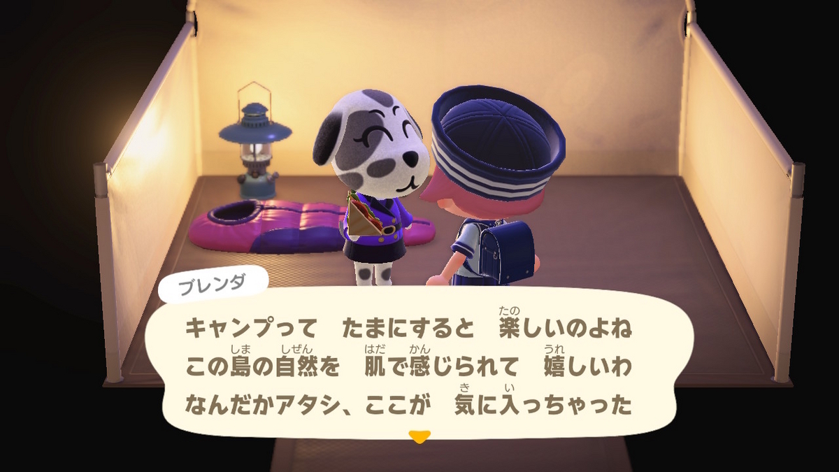 ニンテンドースイッチ あつまれどうぶつの森 キャンプ場 69回目の画像