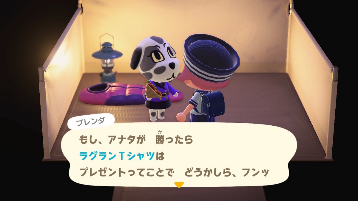 ニンテンドースイッチ あつまれどうぶつの森 キャンプ場 69回目の画像