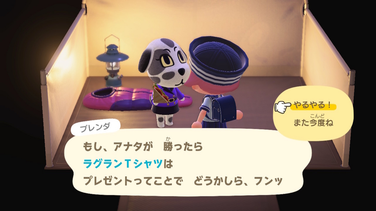ニンテンドースイッチ あつまれどうぶつの森 キャンプ場 69回目の画像