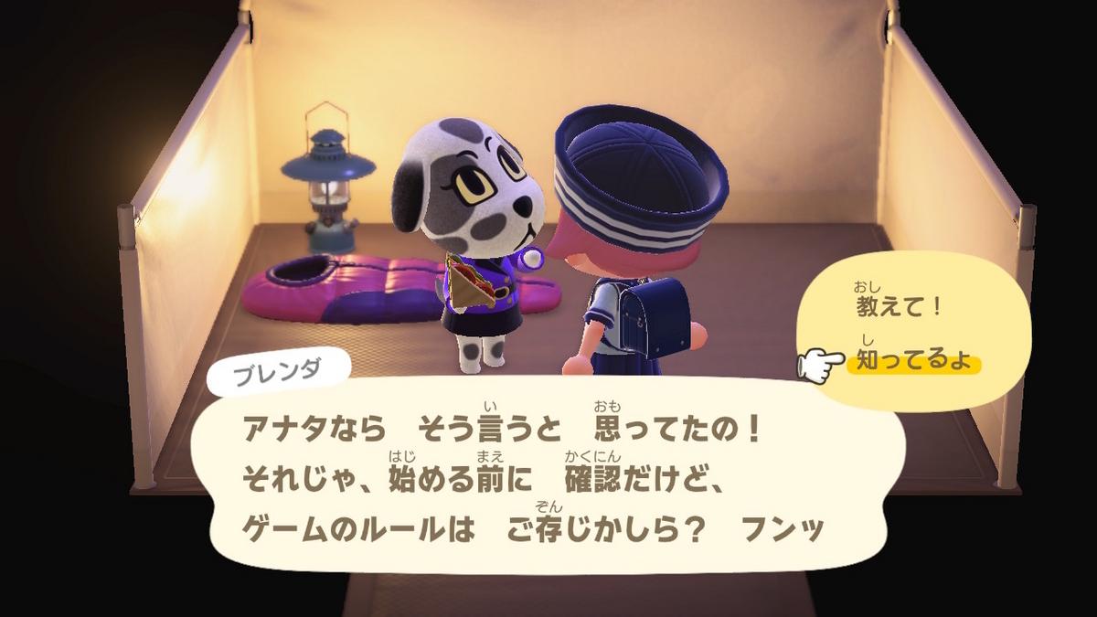 ニンテンドースイッチ あつまれどうぶつの森 キャンプ場 69回目の画像
