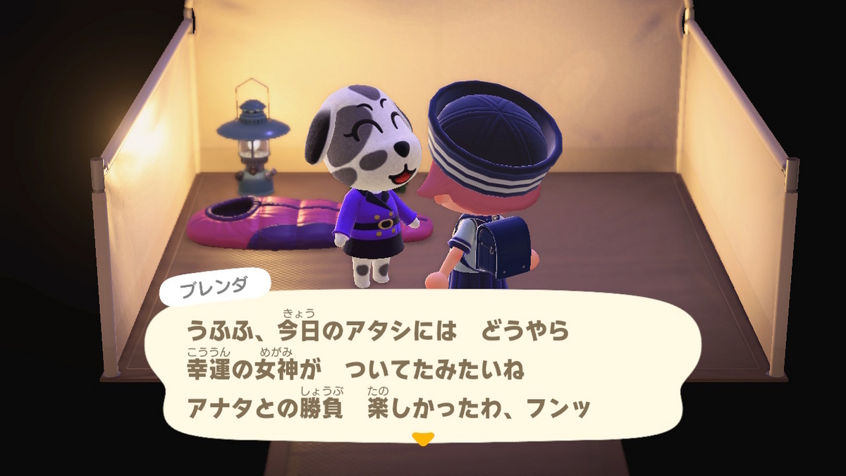 ニンテンドースイッチ あつまれどうぶつの森 キャンプ場 69回目の画像