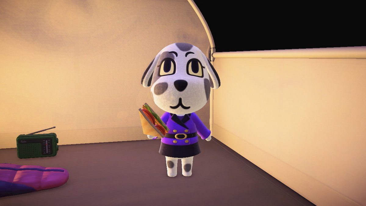 ニンテンドースイッチ あつまれどうぶつの森 キャンプ場 69回目の画像