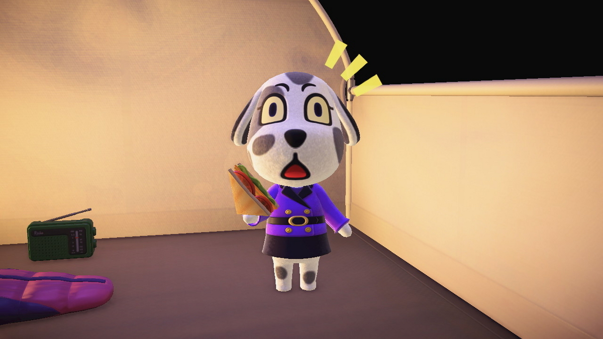 ニンテンドースイッチ あつまれどうぶつの森 キャンプ場 69回目の画像