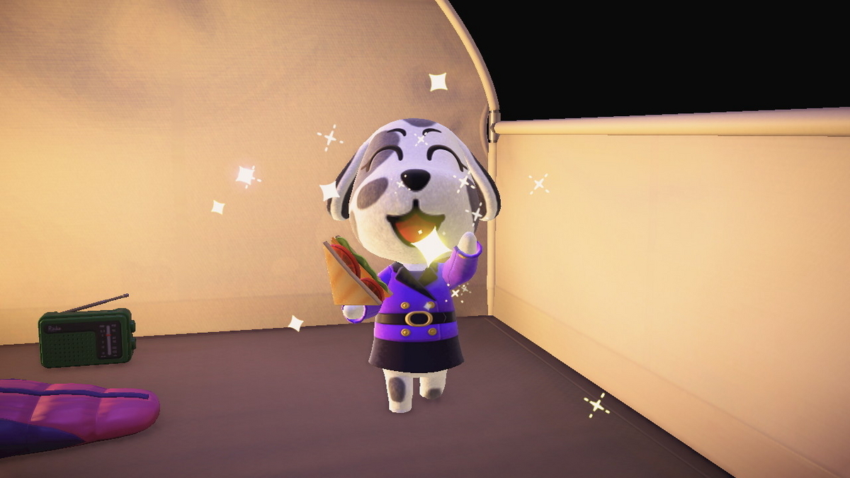 ニンテンドースイッチ あつまれどうぶつの森 キャンプ場 69回目の画像