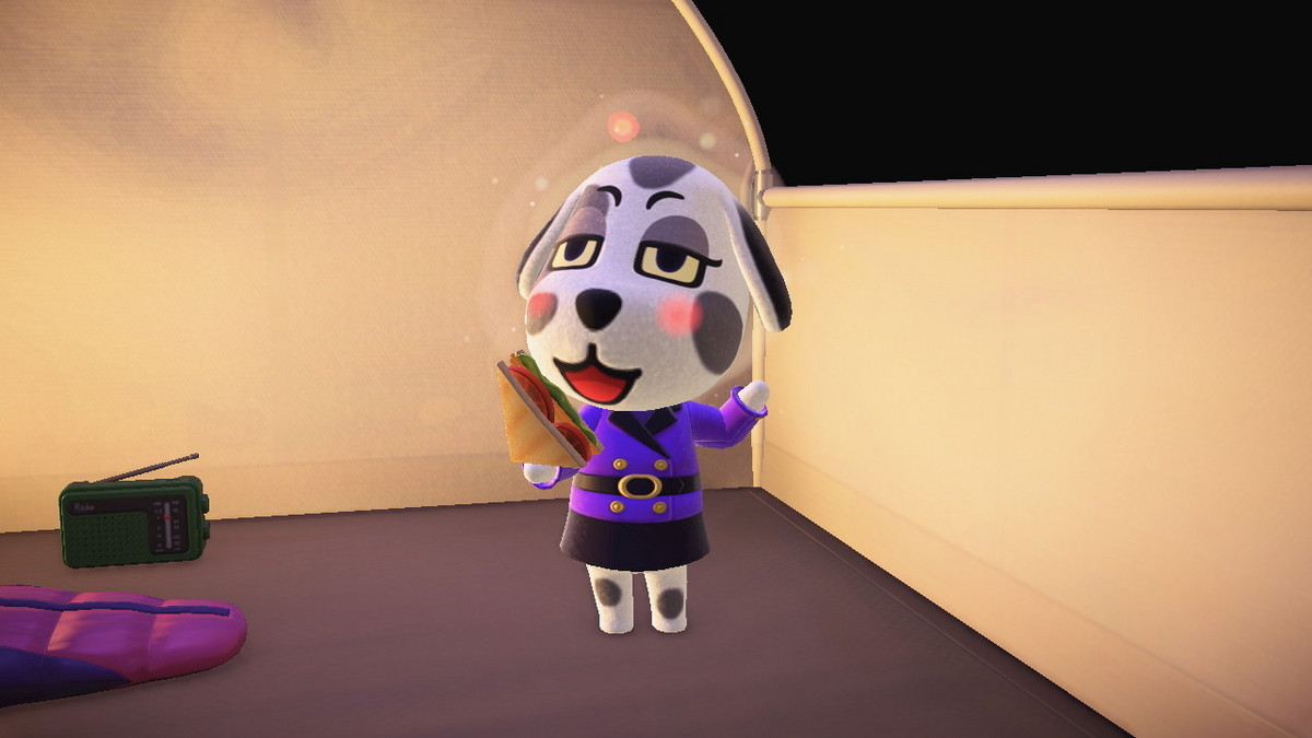 ニンテンドースイッチ あつまれどうぶつの森 キャンプ場 69回目の画像