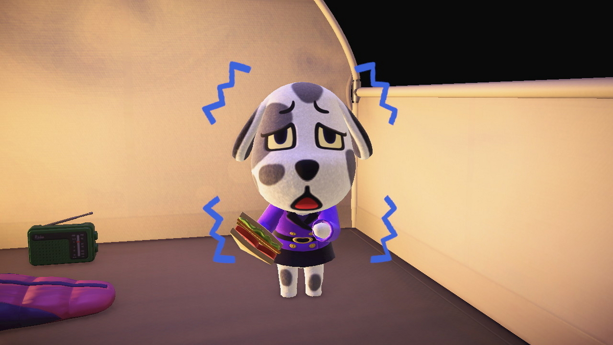 ニンテンドースイッチ あつまれどうぶつの森 キャンプ場 69回目の画像