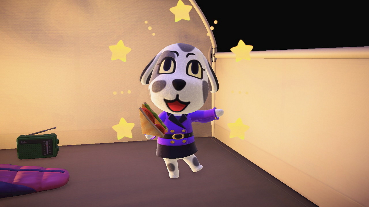 ニンテンドースイッチ あつまれどうぶつの森 キャンプ場 69回目の画像