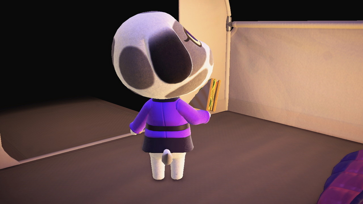ニンテンドースイッチ あつまれどうぶつの森 キャンプ場 69回目の画像