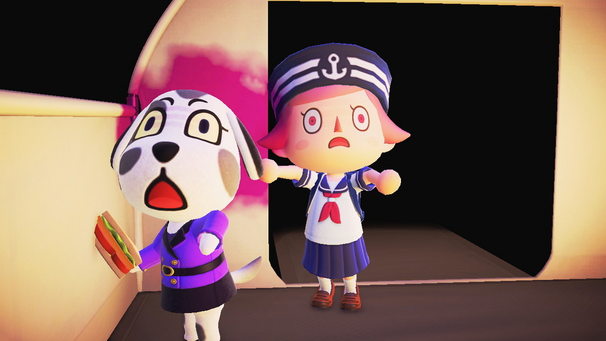 ニンテンドースイッチ あつまれどうぶつの森 キャンプ場 69回目の画像