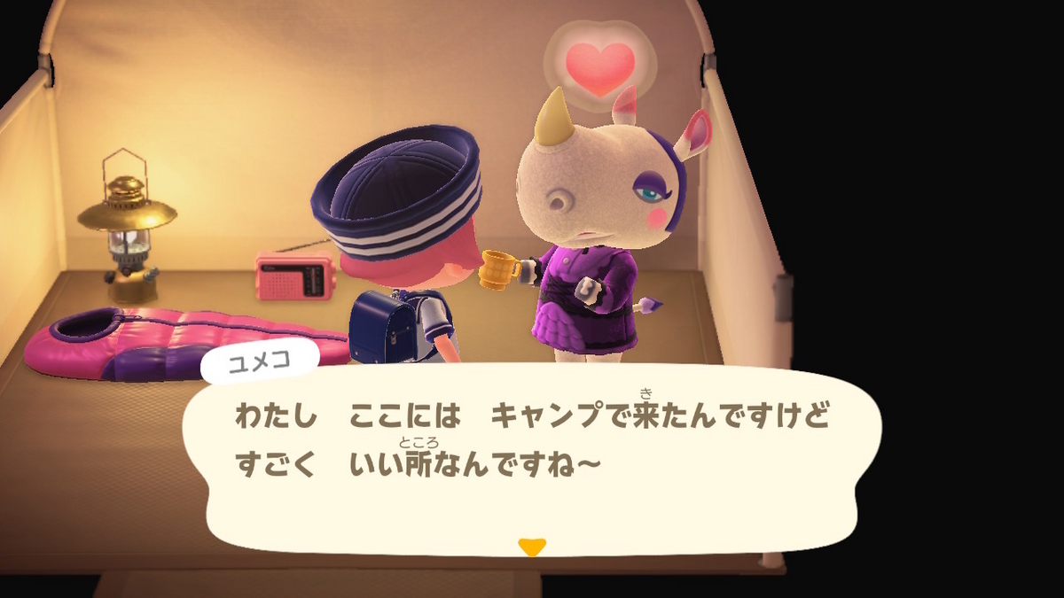 ニンテンドースイッチ あつまれどうぶつの森 キャンプ場 70回目の画像
