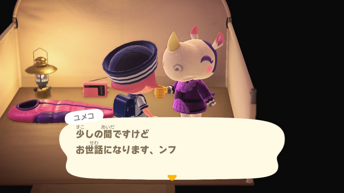 ニンテンドースイッチ あつまれどうぶつの森 キャンプ場 70回目の画像