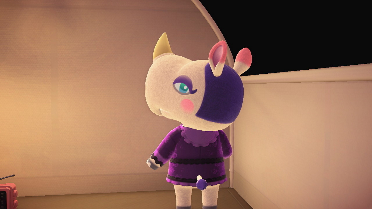 ニンテンドースイッチ あつまれどうぶつの森 キャンプ場 70回目の画像