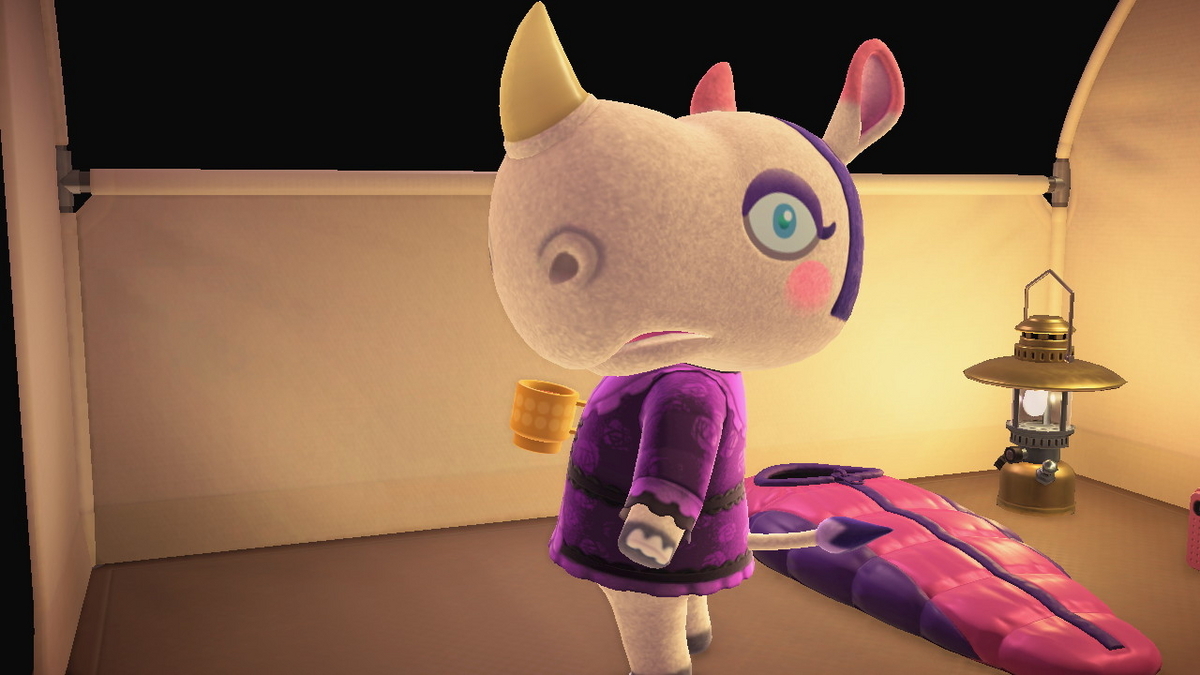 ニンテンドースイッチ あつまれどうぶつの森 キャンプ場 70回目の画像