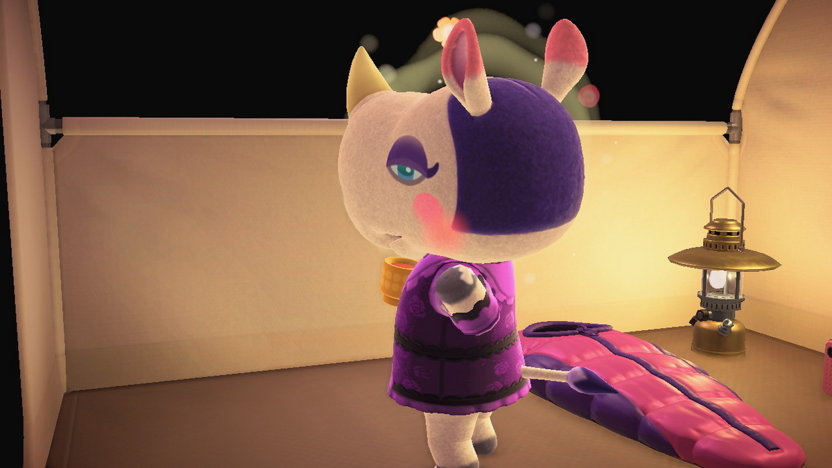 ニンテンドースイッチ あつまれどうぶつの森 キャンプ場 70回目の画像