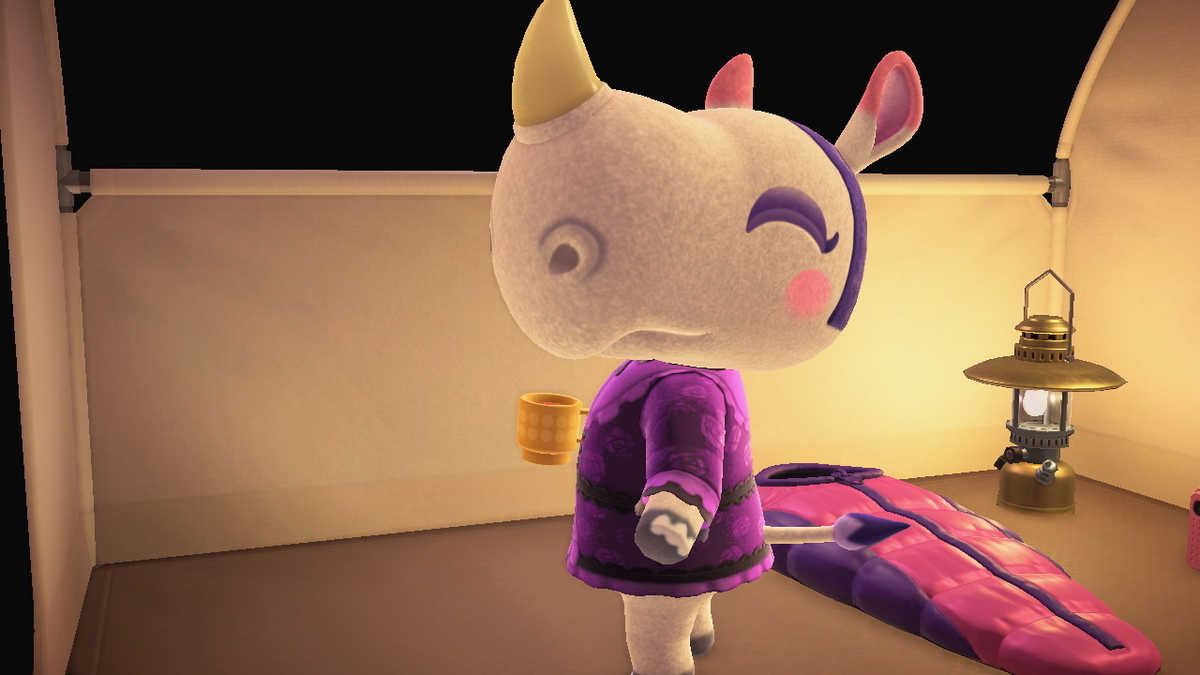 ニンテンドースイッチ あつまれどうぶつの森 キャンプ場 70回目の画像