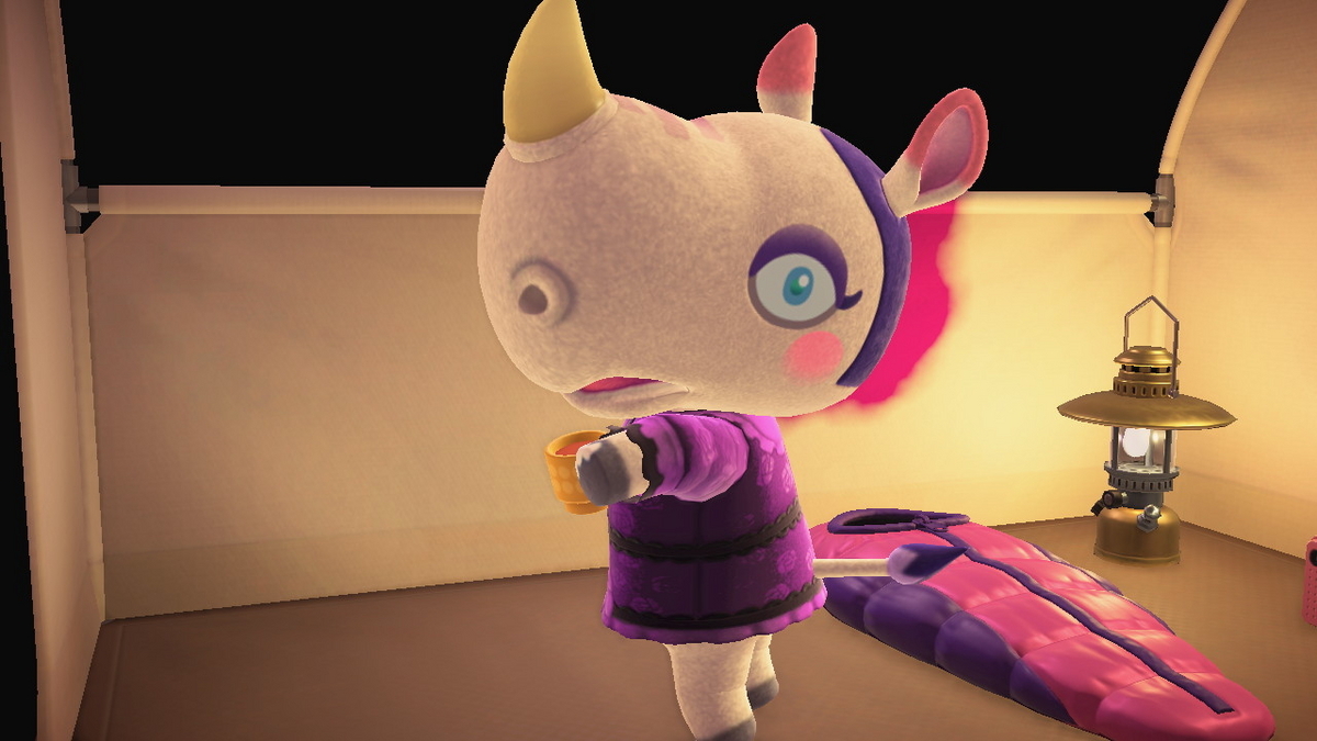 ニンテンドースイッチ あつまれどうぶつの森 キャンプ場 70回目の画像