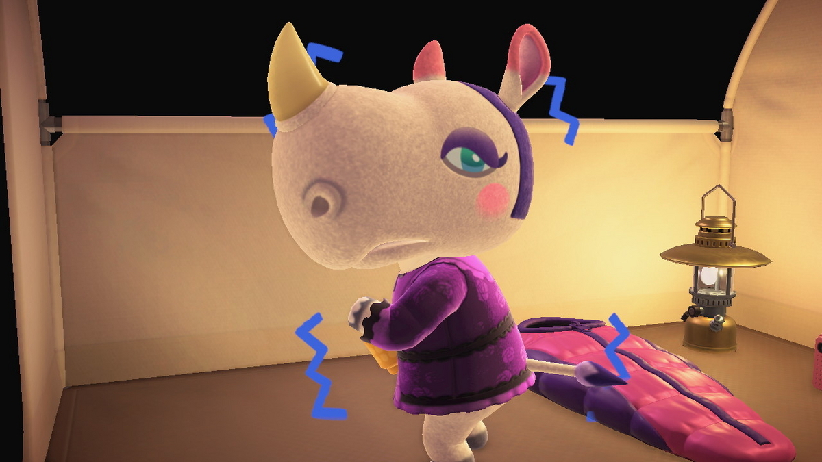 ニンテンドースイッチ あつまれどうぶつの森 キャンプ場 70回目の画像