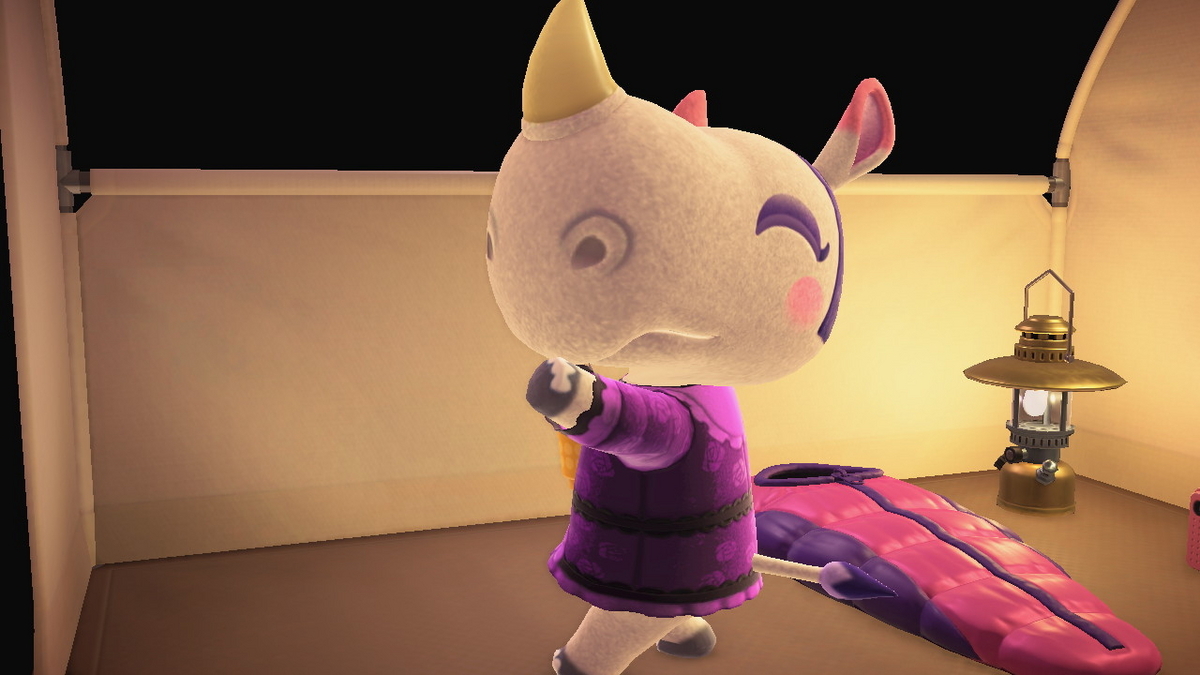 ニンテンドースイッチ あつまれどうぶつの森 キャンプ場 70回目の画像