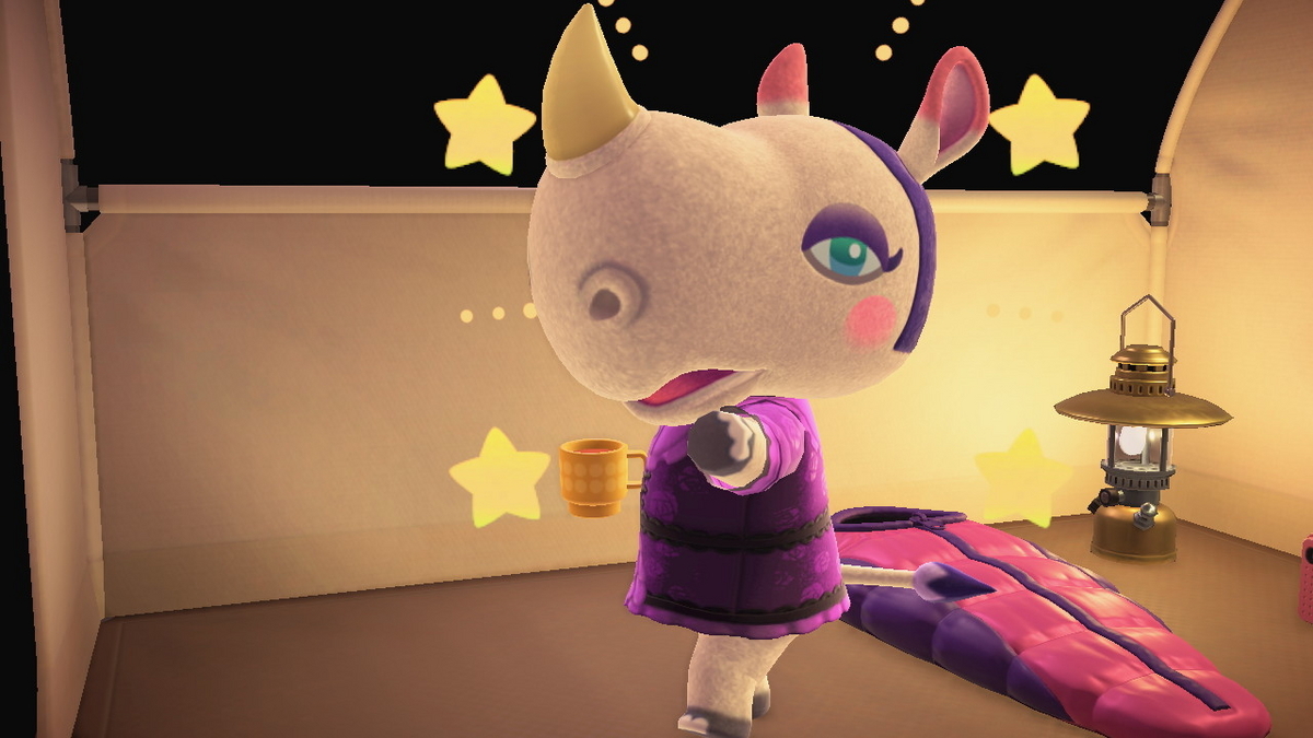 ニンテンドースイッチ あつまれどうぶつの森 キャンプ場 70回目の画像