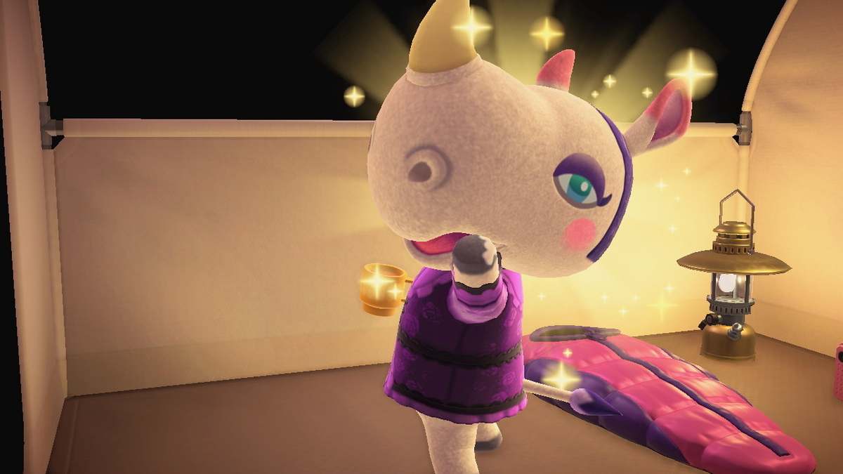 ニンテンドースイッチ あつまれどうぶつの森 キャンプ場 70回目の画像