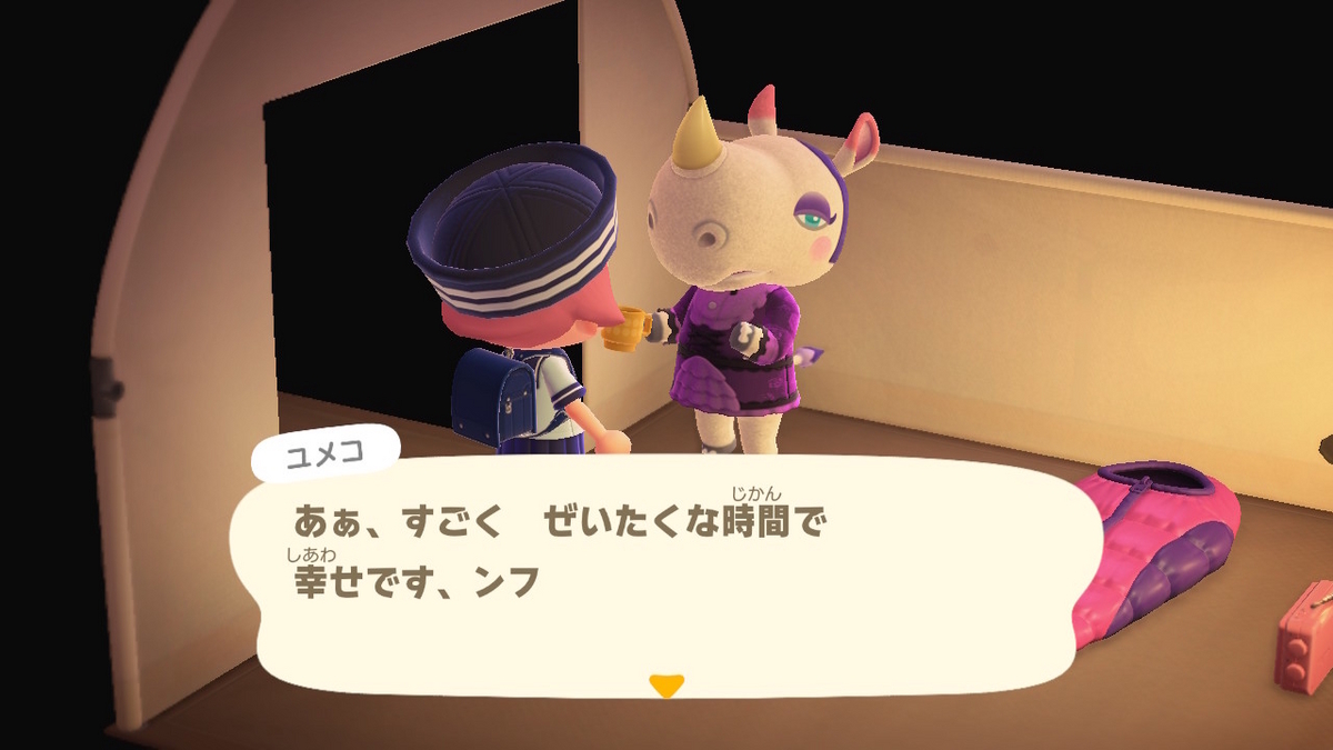 ニンテンドースイッチ あつまれどうぶつの森 キャンプ場 70回目の画像