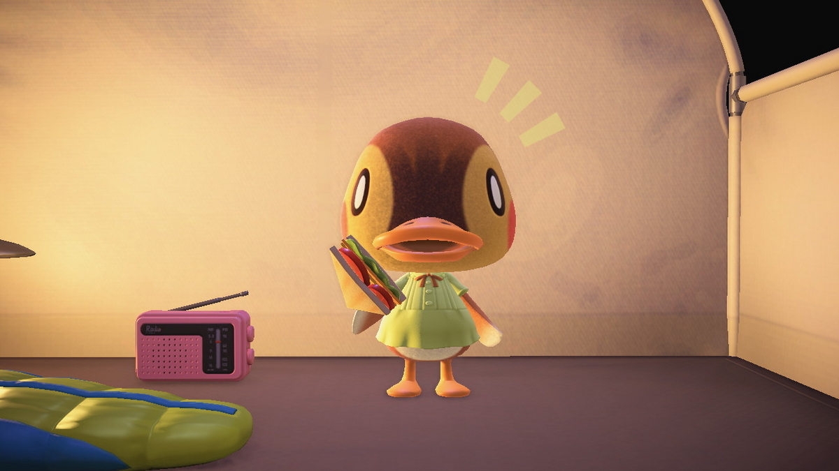 ニンテンドースイッチ あつまれどうぶつの森 キャンプ場 71回目の画像