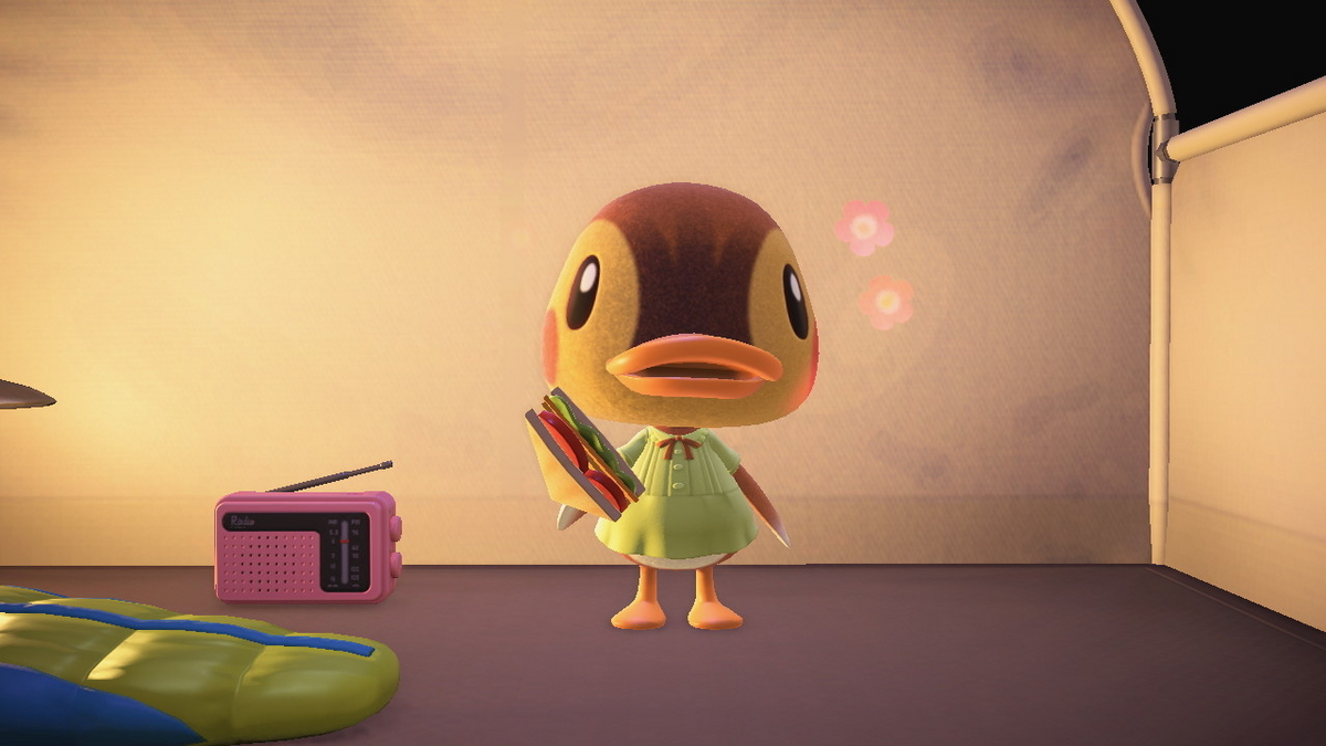 ニンテンドースイッチ あつまれどうぶつの森 キャンプ場 71回目の画像