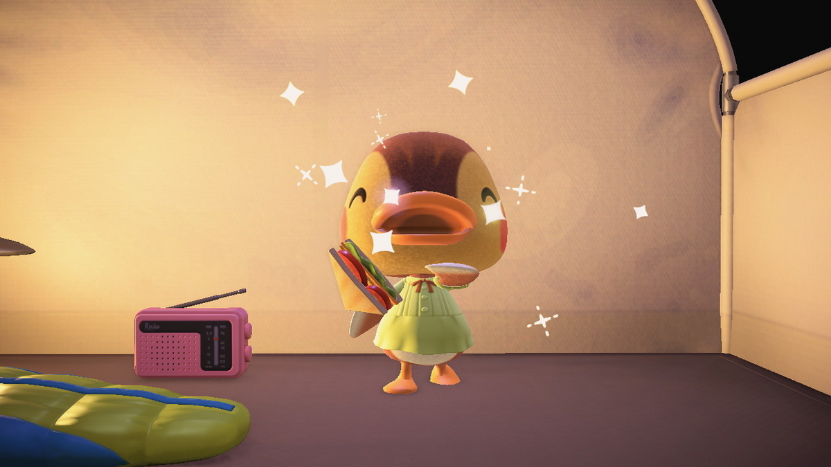 ニンテンドースイッチ あつまれどうぶつの森 キャンプ場 71回目の画像