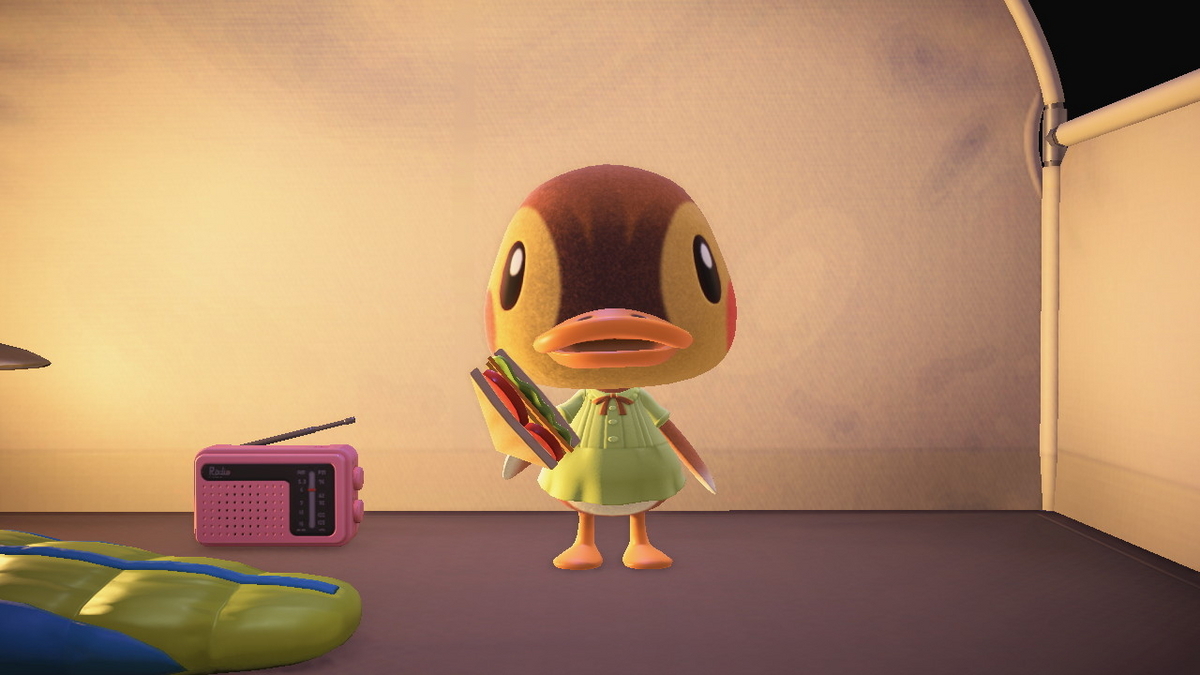 ニンテンドースイッチ あつまれどうぶつの森 キャンプ場 71回目の画像