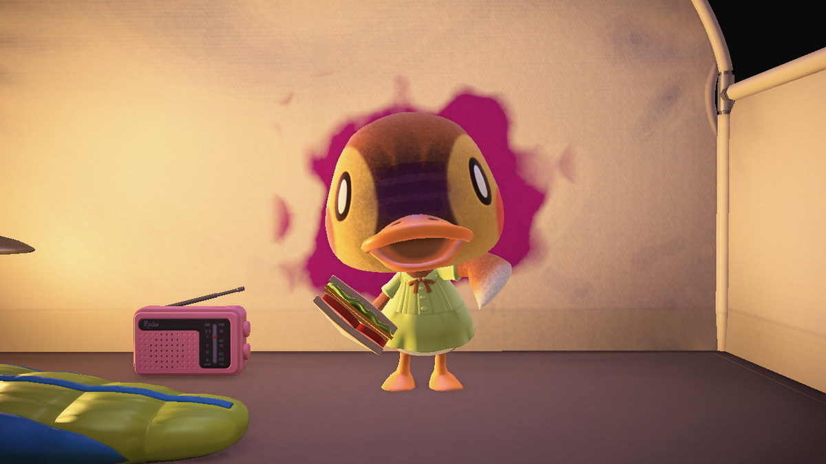 ニンテンドースイッチ あつまれどうぶつの森 キャンプ場 71回目の画像