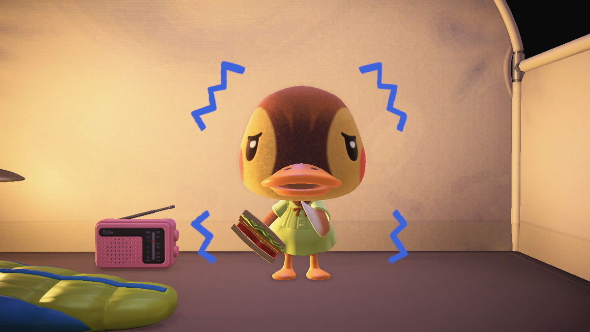 ニンテンドースイッチ あつまれどうぶつの森 キャンプ場 71回目の画像