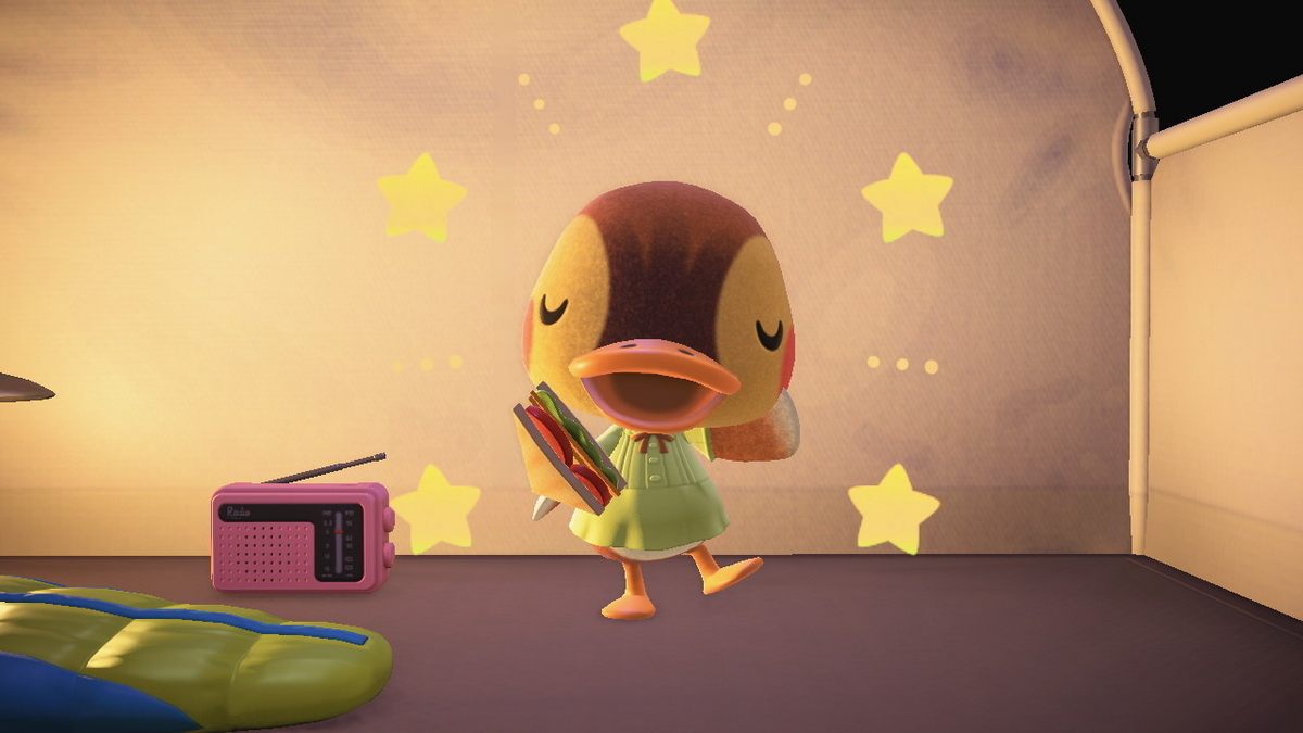 ニンテンドースイッチ あつまれどうぶつの森 キャンプ場 71回目の画像