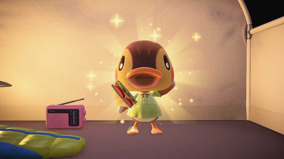 ニンテンドースイッチ あつまれどうぶつの森 キャンプ場 71回目の画像
