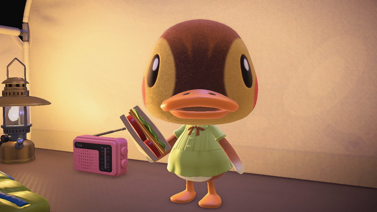 ニンテンドースイッチ あつまれどうぶつの森 キャンプ場 71回目の画像