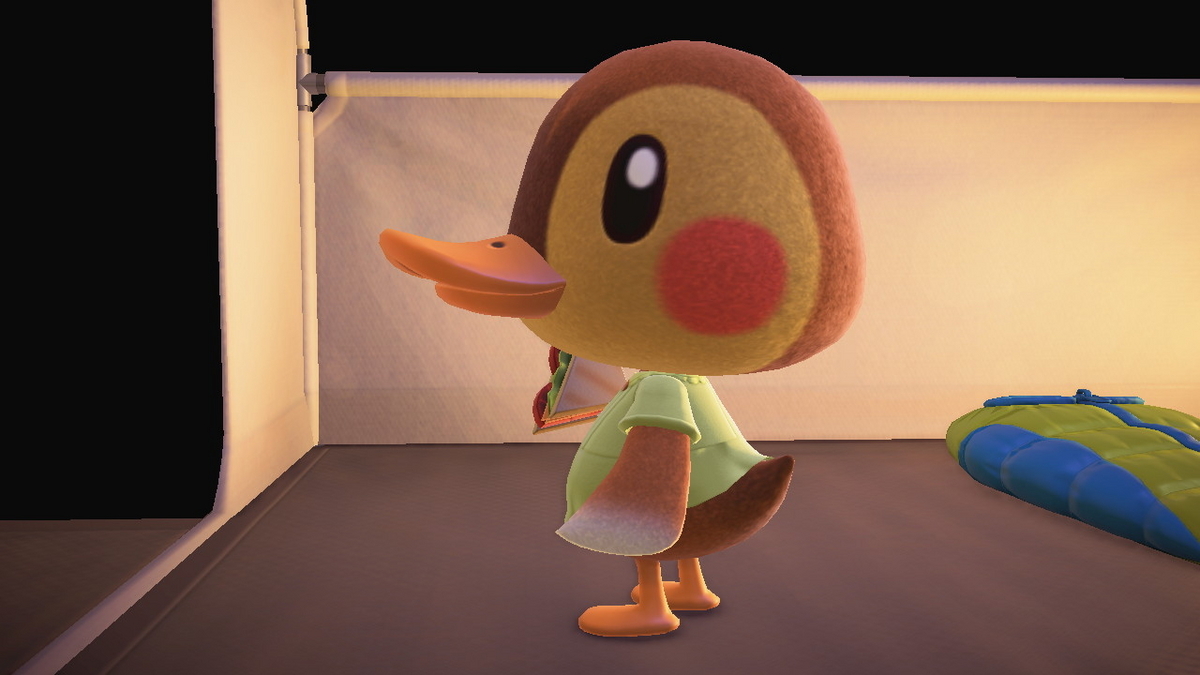 ニンテンドースイッチ あつまれどうぶつの森 キャンプ場 71回目の画像
