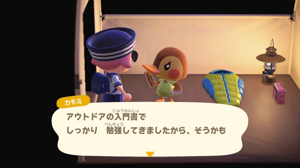 ニンテンドースイッチ あつまれどうぶつの森 キャンプ場 71回目の画像