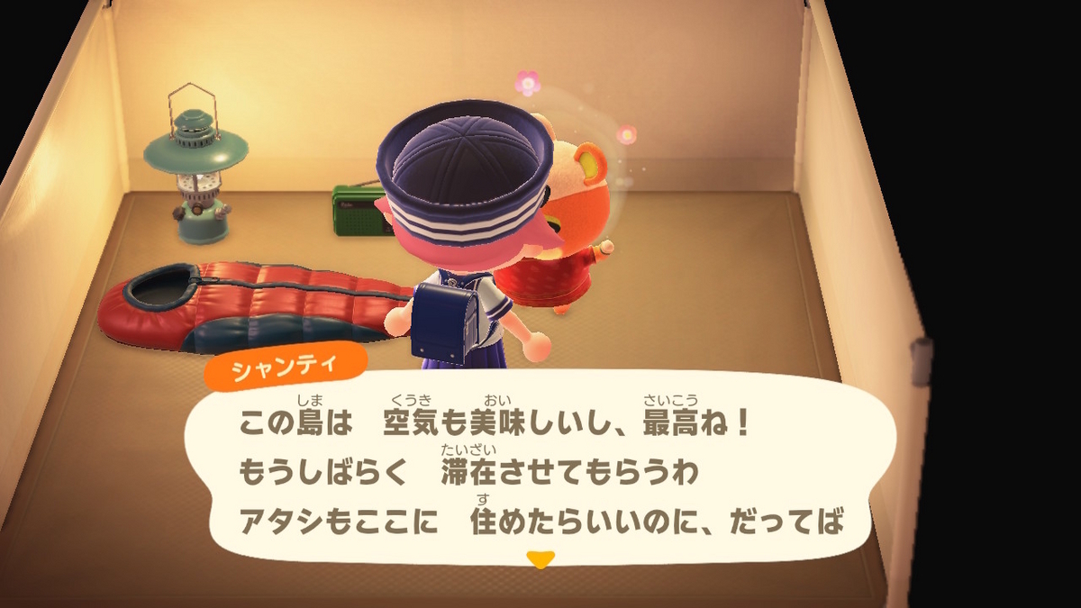ニンテンドースイッチ あつまれどうぶつの森 キャンプ場 72回目の画像