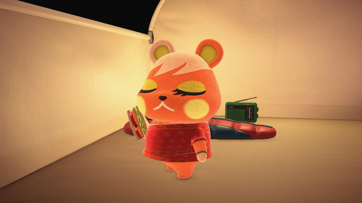 ニンテンドースイッチ あつまれどうぶつの森 キャンプ場 72回目の画像